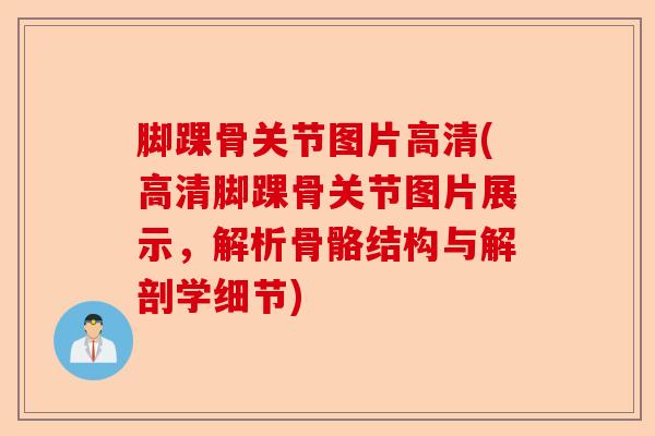 脚踝骨关节图片高清(高清脚踝骨关节图片展示，解析骨骼结构与解剖学细节)