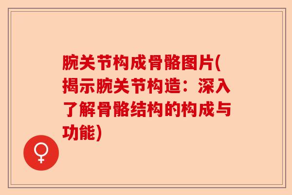 腕关节构成骨骼图片(揭示腕关节构造：深入了解骨骼结构的构成与功能)