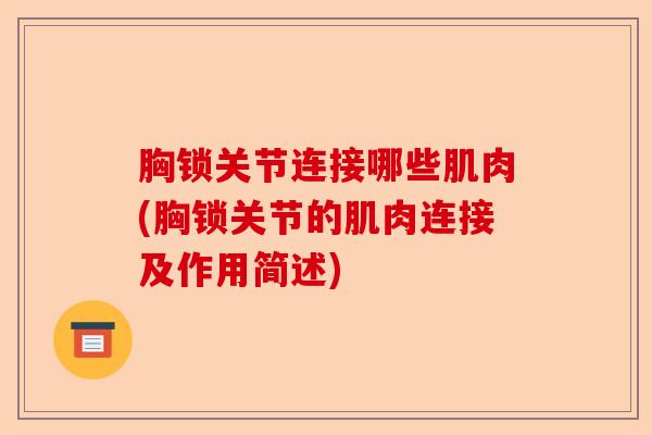 胸锁关节连接哪些肌肉(胸锁关节的肌肉连接及作用简述)