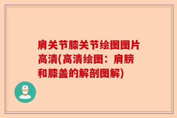 肩关节膝关节绘图图片高清(高清绘图:肩膀和膝盖的解剖图解) 肩关节膝关节绘图图片高清(高清绘图:肩膀和膝盖的解剖图解)