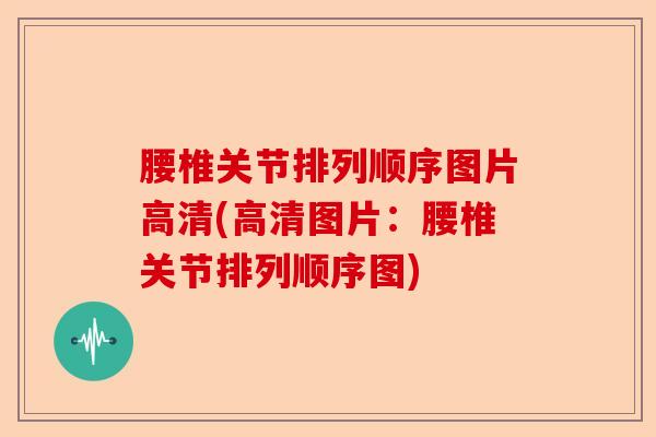 腰椎关节排列顺序图片高清(高清图片：腰椎关节排列顺序图)