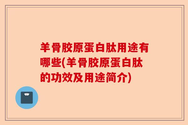羊骨胶原蛋白肽用途有哪些(羊骨胶原蛋白肽的功效及用途简介)