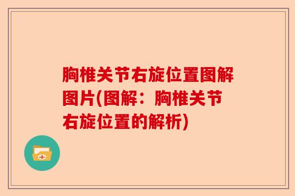 胸椎关节右旋位置图解图片(图解：胸椎关节右旋位置的解析)