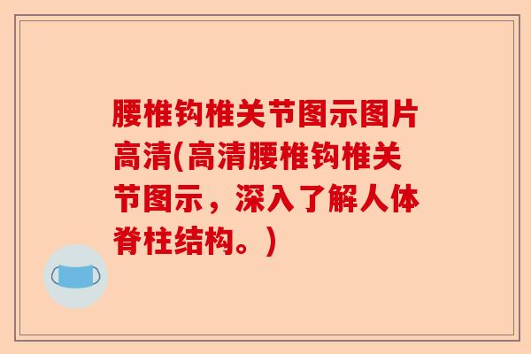 腰椎钩椎关节图示图片高清(高清腰椎钩椎关节图示，深入了解人体脊柱结构。)