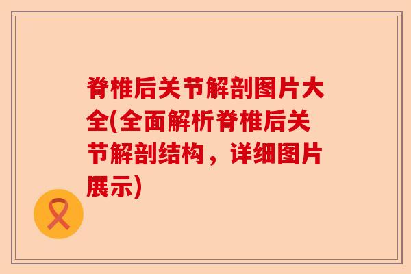 脊椎后关节解剖图片大全(全面解析脊椎后关节解剖结构，详细图片展示)
