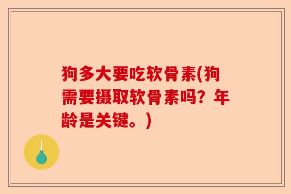 狗多大要吃软骨素(狗需要摄取软骨素吗？年龄是关键。)