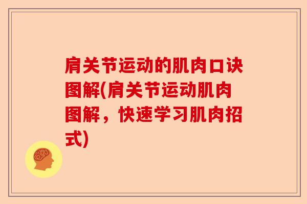 肩关节运动的肌肉口诀图解(肩关节运动肌肉图解，快速学习肌肉招式)
