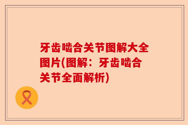 牙齿啮合关节图解大全图片(图解：牙齿啮合关节全面解析)