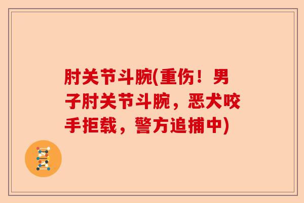 肘关节斗腕(重伤！男子肘关节斗腕，恶犬咬手拒载，警方追捕中)