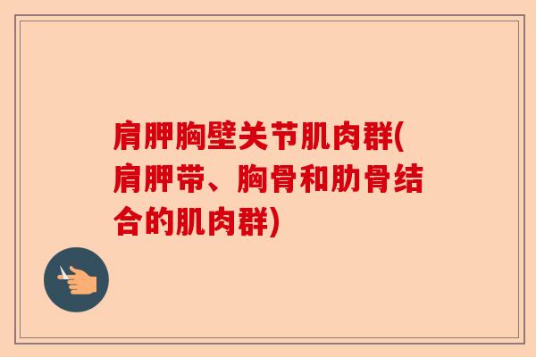 肩胛胸壁关节肌肉群(肩胛带、胸骨和肋骨结合的肌肉群)