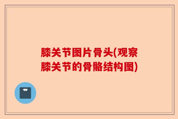 膝关节图片骨头(观察膝关节的骨骼结构图)