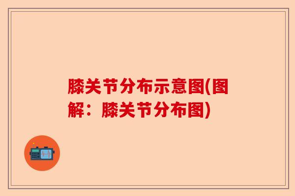 膝关节分布示意图(图解：膝关节分布图)