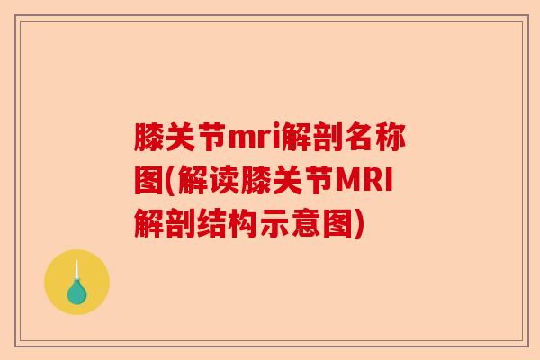 膝关节mri解剖名称图(解读膝关节MRI解剖结构示意图)