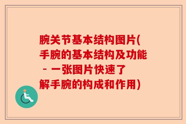 腕关节基本结构图片(手腕的基本结构及功能 - 一张图片快速了解手腕的构成和作用)