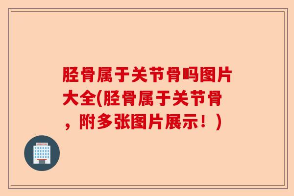 胫骨属于关节骨吗图片大全(胫骨属于关节骨,附多张图片展示!) 胫骨属于关节骨吗图片大全(胫骨属于关节骨,附多张图片展示!)