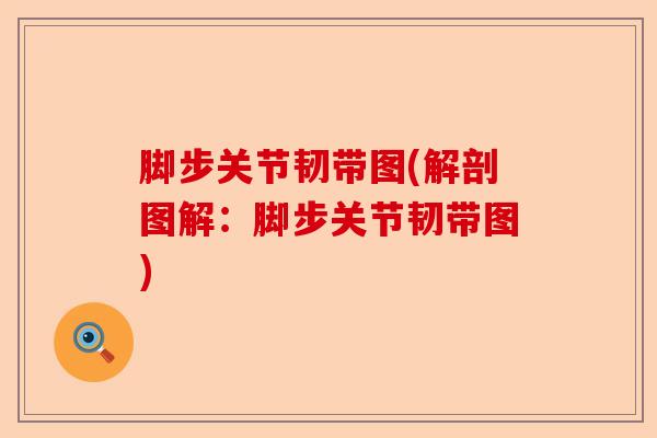 脚步关节韧带图(解剖图解：脚步关节韧带图)