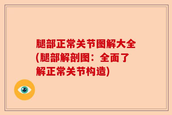 腿部正常关节图解大全(腿部解剖图：全面了解正常关节构造)