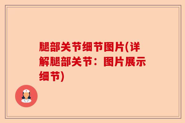 腿部关节细节图片(详解腿部关节：图片展示细节)
