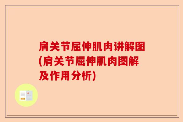 肩关节屈伸肌肉讲解图(肩关节屈伸肌肉图解及作用分析)