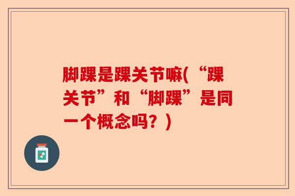 脚踝是踝关节嘛(“踝关节”和“脚踝”是同一个概念吗？)