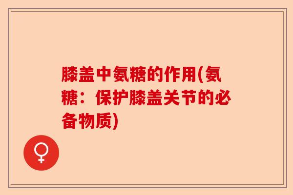 膝盖中氨糖的作用(氨糖：保护膝盖关节的必备物质)