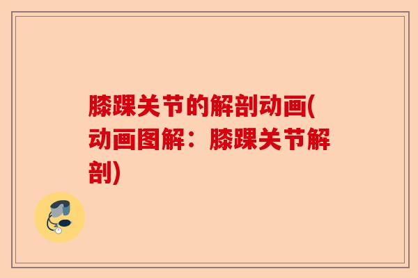 膝踝关节的解剖动画(动画图解：膝踝关节解剖)