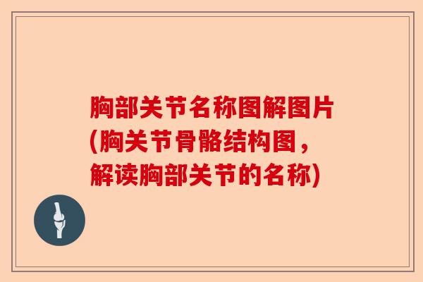 胸部关节名称图解图片(胸关节骨骼结构图，解读胸部关节的名称)