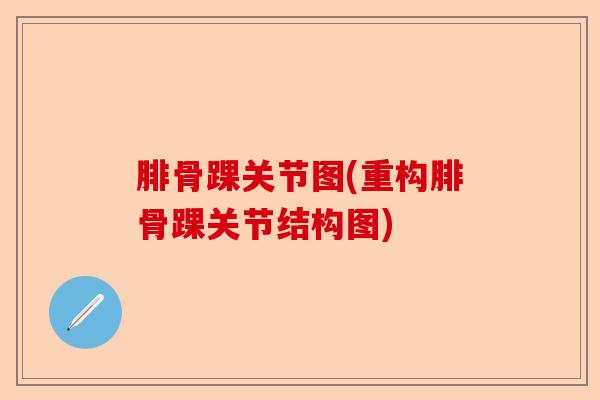 腓骨踝关节图(重构腓骨踝关节结构图)