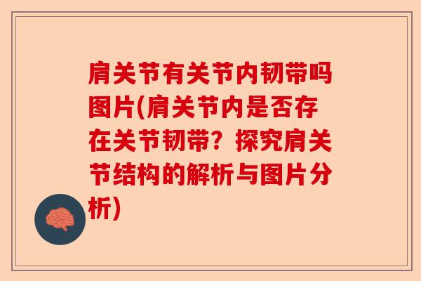 肩关节有关节内韧带吗图片(肩关节内是否存在关节韧带？探究肩关节结构的解析与图片分析)