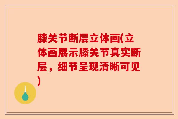 膝关节断层立体画(立体画展示膝关节真实断层，细节呈现清晰可见)