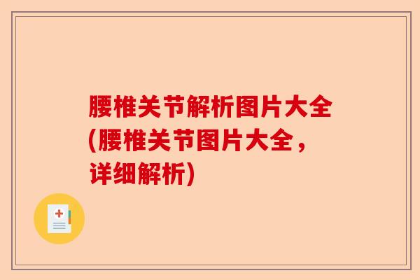 腰椎关节解析图片大全(腰椎关节图片大全，详细解析)