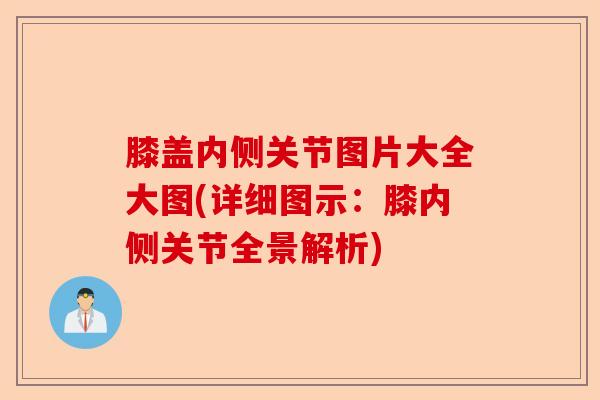 膝盖内侧关节图片大全大图(详细图示：膝内侧关节全景解析)