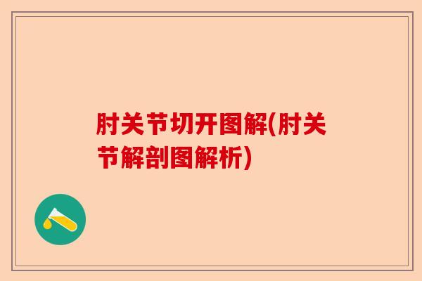 肘关节切开图解(肘关节解剖图解析)