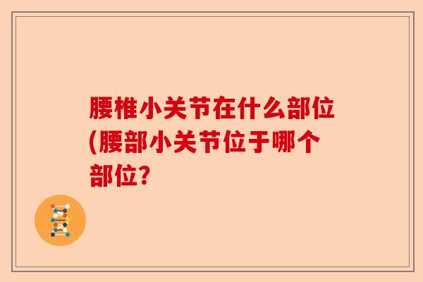 腰椎小关节在什么部位(腰部小关节位于哪个部位？