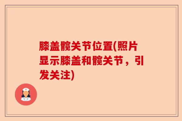 膝盖髋关节位置(照片显示膝盖和髋关节，引发关注)