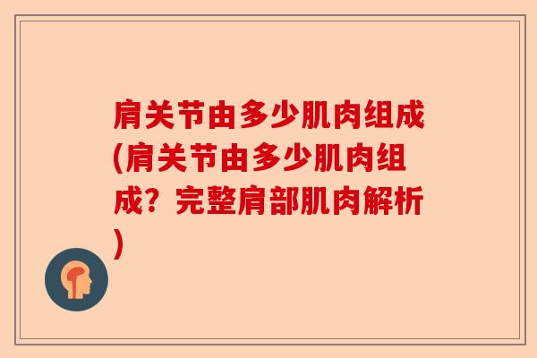 肩关节由多少肌肉组成(肩关节由多少肌肉组成？完整肩部肌肉解析)