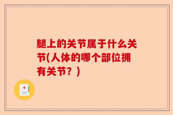 腿上的关节属于什么关节(人体的哪个部位拥有关节？)