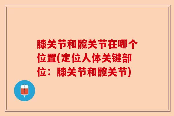膝关节和髋关节在哪个位置(定位人体关键部位：膝关节和髋关节)
