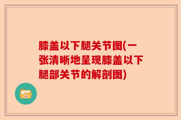 膝盖以下腿关节图(一张清晰地呈现膝盖以下腿部关节的解剖图)
