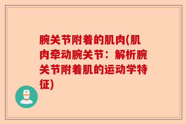 腕关节附着的肌肉(肌肉牵动腕关节：解析腕关节附着肌的运动学特征)