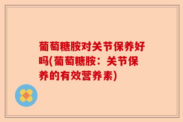 葡萄糖胺对关节保养好吗(葡萄糖胺：关节保养的有效营养素)