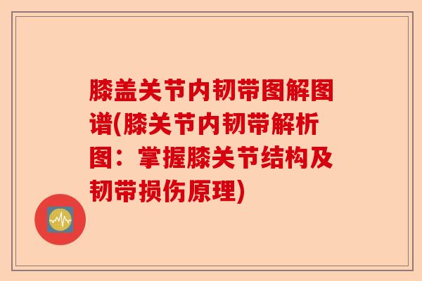 膝盖关节内韧带图解图谱(膝关节内韧带解析图:掌握膝关节结构及韧带损伤原理) 膝盖关节内韧带图解图谱(膝关节内韧带解析图:掌握膝关节结构及韧带损伤原理)