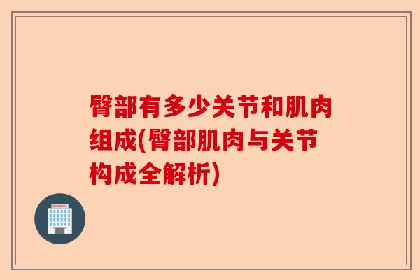 臀部有多少关节和肌肉组成(臀部肌肉与关节构成全解析)