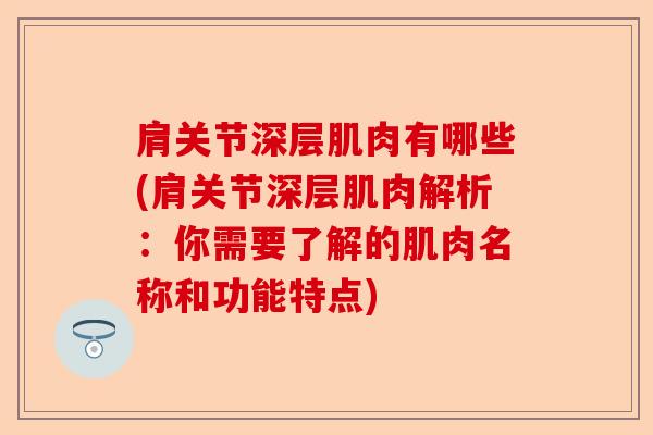 肩关节深层肌肉有哪些(肩关节深层肌肉解析：你需要了解的肌肉名称和功能特点)