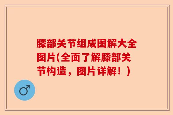膝部关节组成图解大全图片(全面了解膝部关节构造，图片详解！)