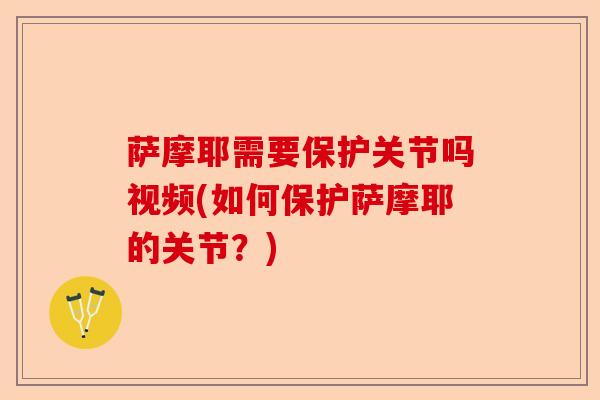 萨摩耶需要保护关节吗视频(如何保护萨摩耶的关节？)