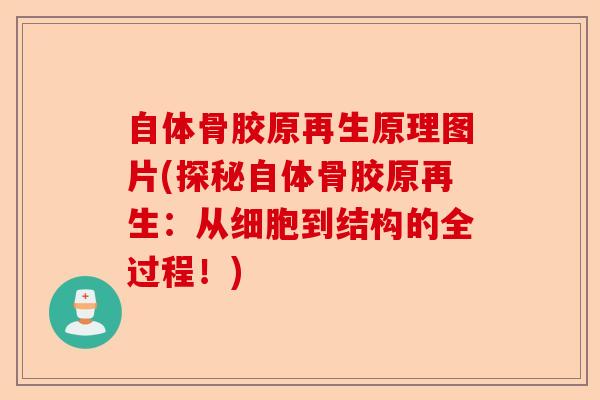 自体骨胶原再生原理图片(探秘自体骨胶原再生：从细胞到结构的全过程！)