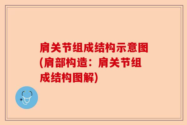 肩关节组成结构示意图(肩部构造：肩关节组成结构图解)