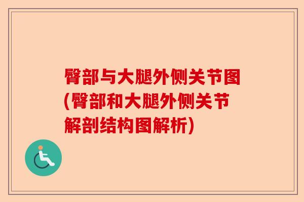 臀部与大腿外侧关节图(臀部和大腿外侧关节解剖结构图解析)