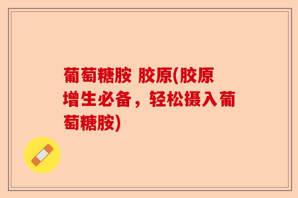 葡萄糖胺 胶原(胶原增生必备，轻松摄入葡萄糖胺)